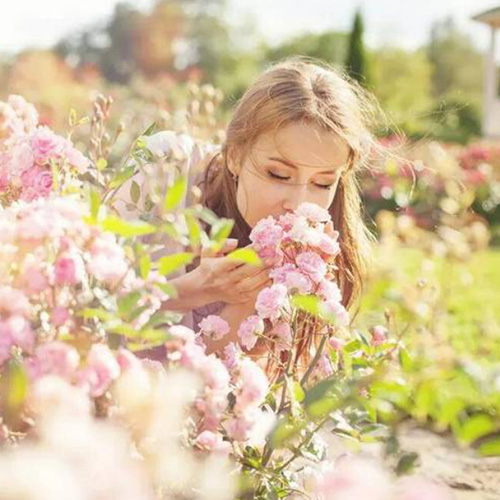 春日焕新，从“螨”无踪迹的洁净开始！ 