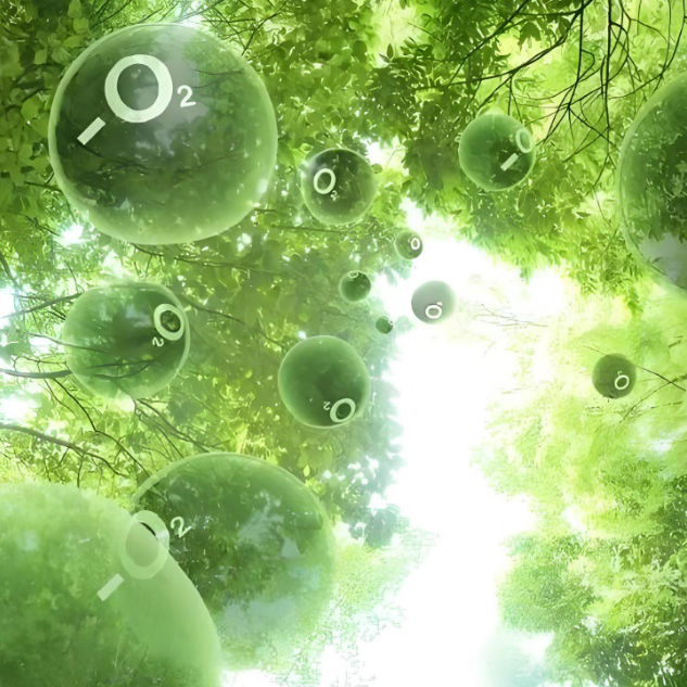 负离子整理剂M-2020