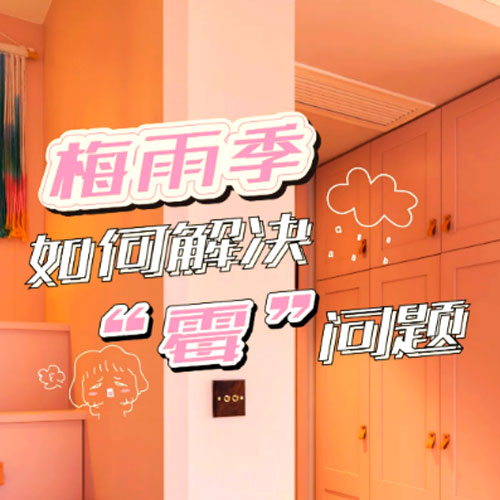 潮湿季节的“隐形防护盾”，为产品注入长效健康基因